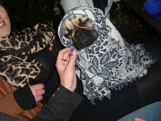 Er wird wohl eine schwere Zeit mit der Chefin haben...