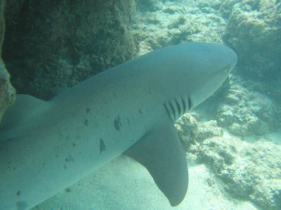 Aus dem nichts war er aufeinmal neben mir...