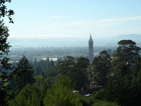 Blick auf den Campus