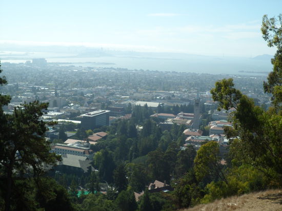Blick auf die Bayside... Hinten erkennbar San Francisco Downtown und hinten rechts die Golden Gate Bridge