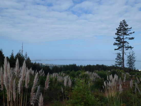 Blick vom Berg auf die Bay