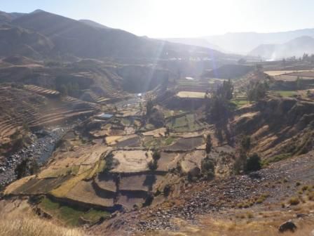 Terassen am Colca Canyon