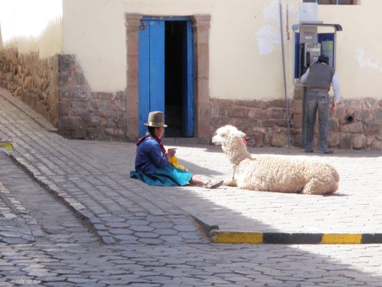 Ein Lama mit Begleitung am Plazoletta de San Blas