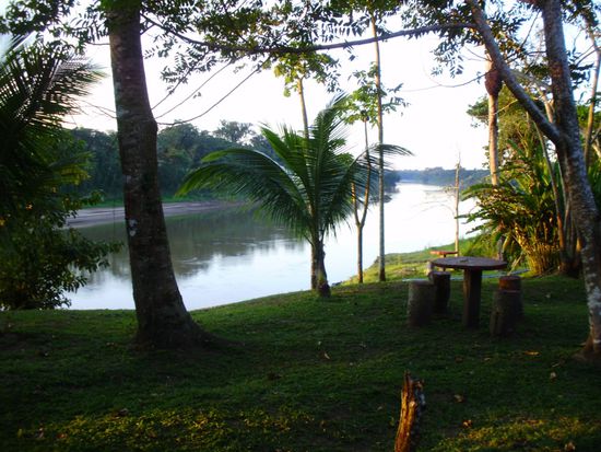 Nachmittag im Dschungel