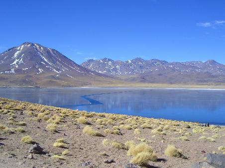 Laguna Miscanti