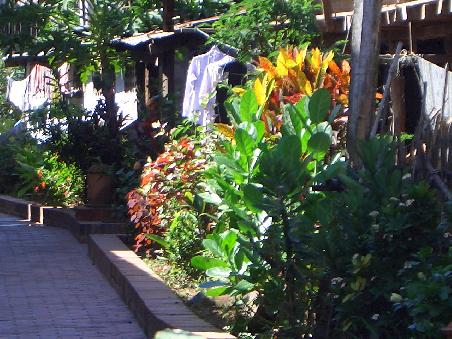 Hübsch restaurierte Strasse in Luang Prabang