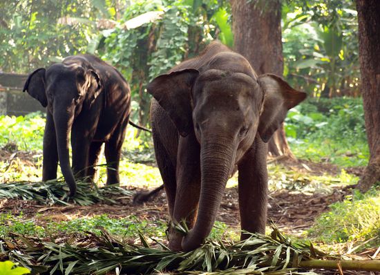 Nach dem Baden gibts Frühstück