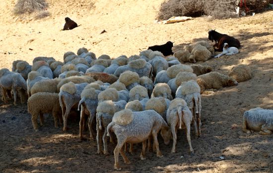 Man beachte die tolle Frisur 