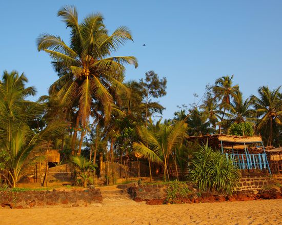 Kokospalmen und Bambushütten