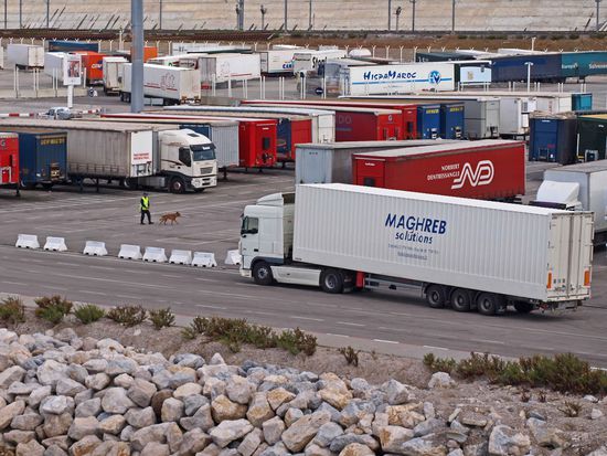 Drogenhund bei der Arbeit