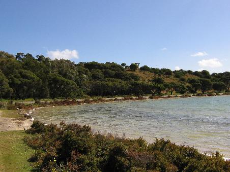 Naja, das ist zwar nicht das Meer, aber die andere Seite (1 min von meinem Zimmer entfernt): einer der vielen Seen auf Rottnest