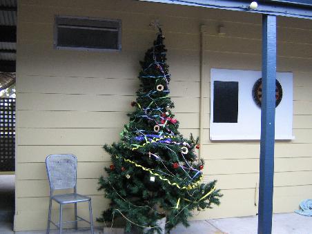 Aber das ist unser Weihnachtsbaum! Gut, sieht eher eingepackt als geschmueckt aus, aber wir haben ihn mit Liebe Geschmueckt!
