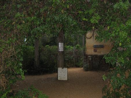 Der Eingang vom Maze