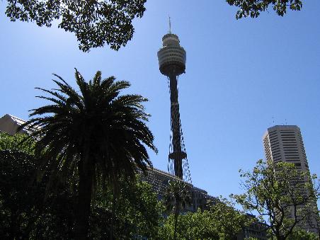 Bis jetzt habe ich mich noch nicht wirklich getraut, auf den Sky Tower zu gehen... Ein bisschen Hoehenangst habe ich ja schon...