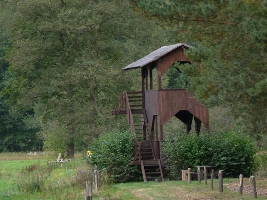 Vogelbeobachtungsturm