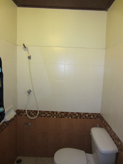 Ja... ihr seht richtig: Toilette und Dusche in einem 