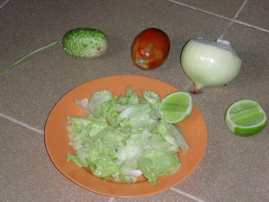 wozu braucht man Plastikteller?