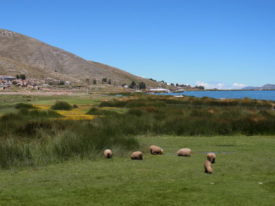 Blick von der Strandpromenade in Puno