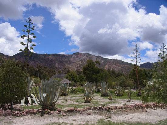 Aus-Blick vom Zoogelände