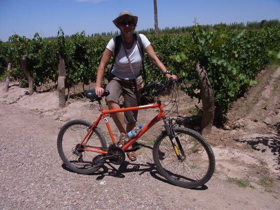 mit neuem Fahrrad am Weingut "Di Tommaso"