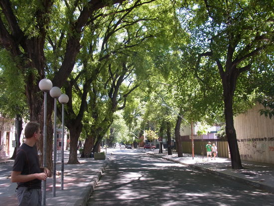 typisches Strassenbild in Mendoza