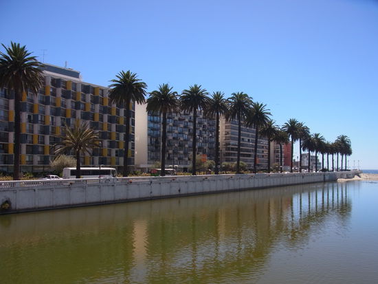 Wohnen unter Palmen in Vina del Mar...