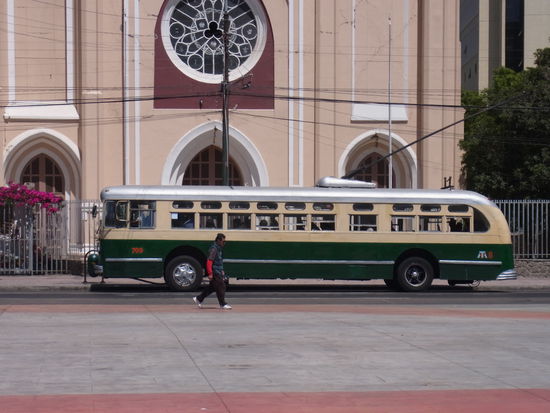 Trolley-Bus aus den 50ern