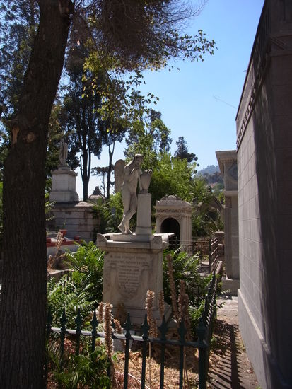 Blick durch die Grabreihen