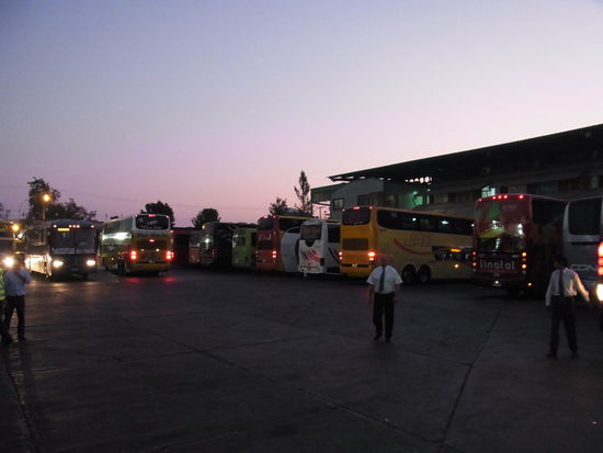 Nachtleben am Terminal
Busse, wohin man schaut, die sich anscheinend alle im Wege stehen