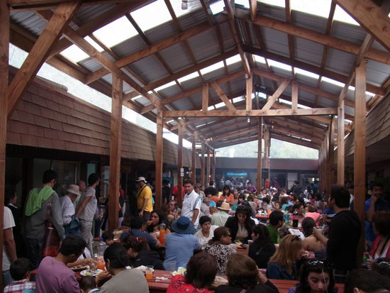 ...während die anderen sich den Bauch voll schlagen.