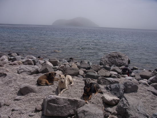 auch Beschützer müssen sich mal ausruhen...