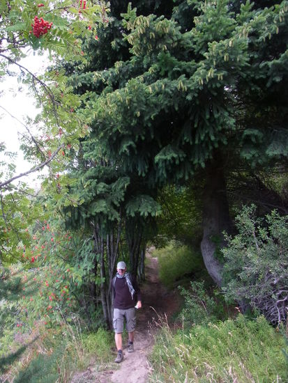 schöne entspannte erste 200 Meter...