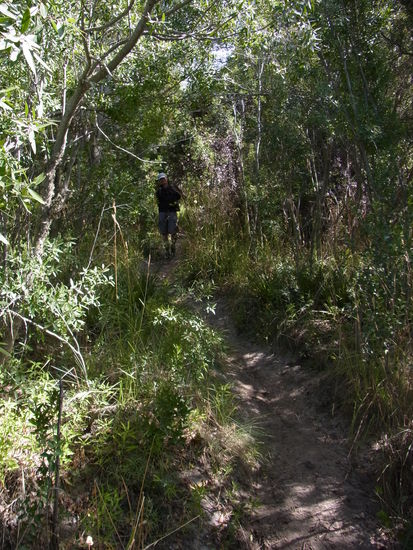 auf dem letzten Drittel des steilen Abstiegs