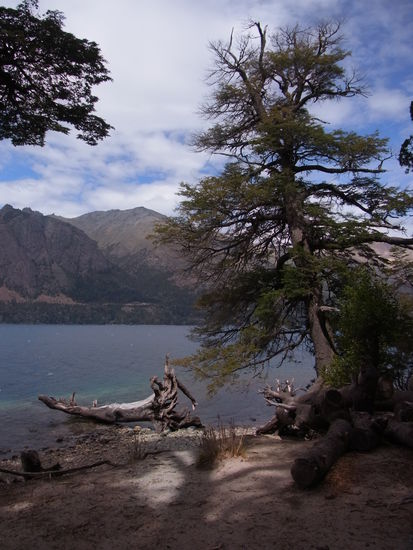 Ufer am "Lago Gutierrez"