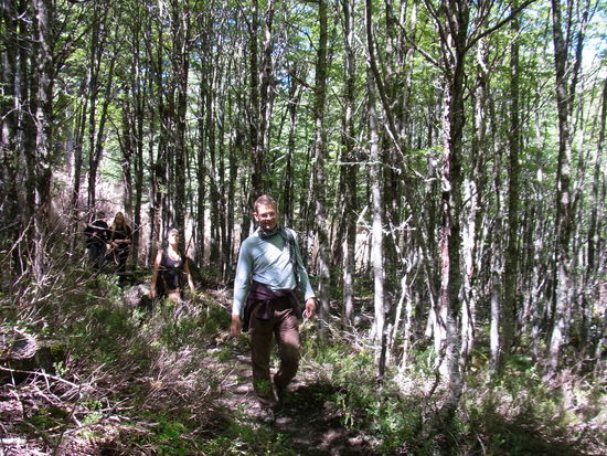 ...und lichtdurchfluteten Wald...