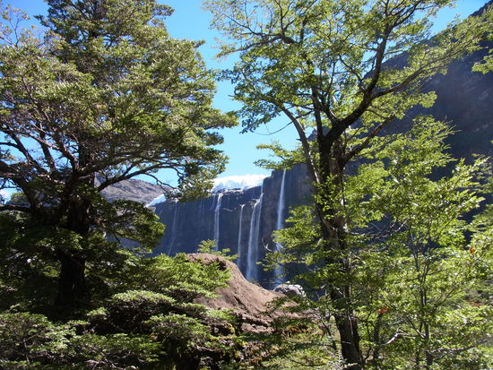 erst sieht man den Gletscher nur durch die Bäume...