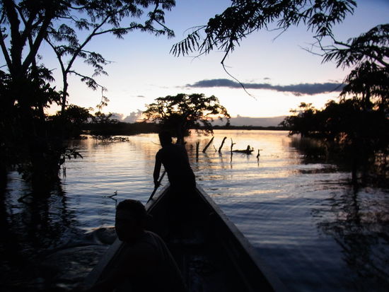 nun aber schnell nach Hause paddeln, der Weg ist noch weit