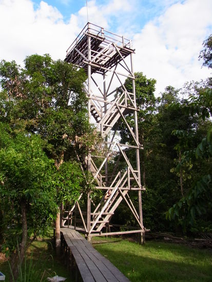 unser "Vogel-Fern-Sehturm"