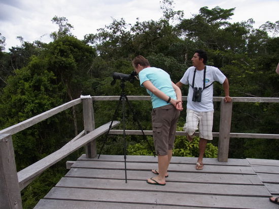 was es da wohl zu sehen gibt....
William sucht vorher immer mit Fernglas nach möglichen Kandidaten,
die wir dann bestaunen dürfen