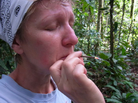 Baum-Natur-Cigarillo kommt gerade recht zur Pause...
schmeckt gar nicht so schlecht und wächst von allein im Urwald
