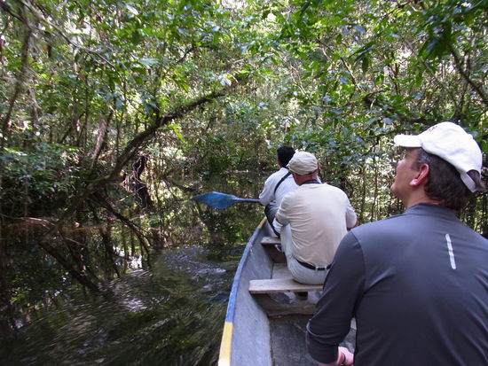 Paddeln macht Spaß im Dschungel, vor allem mit Kamera....