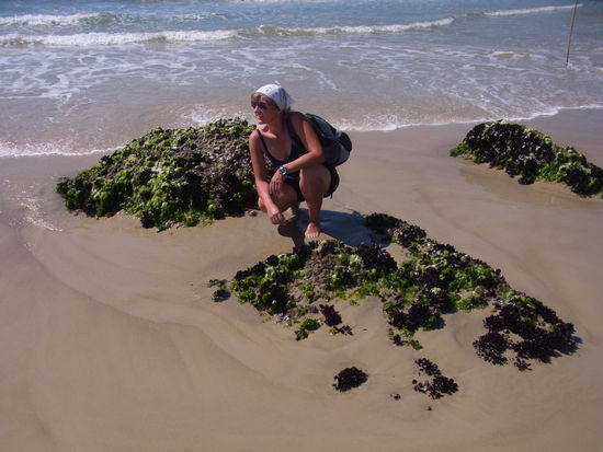 Am Sandinho mit muschelbewachsenen Steinen bei Ebbe...
