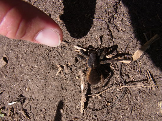 Die will doch nur spielen... versperrt uns einfach den Weg.