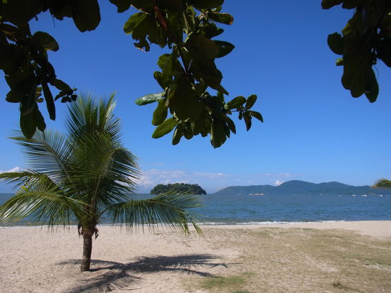 tolle Aussichten am Jabaquara