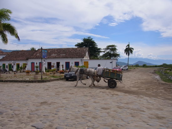 ...und das Treiben beobachten.