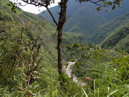 Der ganze Weg geht entlang einer endlosen gewundenen Schlucht...