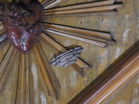 dieser prächtige, riesige Nachtfalter saß an oder auf der Holztür vom vorhergehenden Bild. ca. 10 cm Spannweite