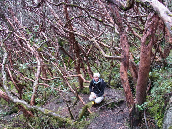 ....Uta im "Maerchenwald".
