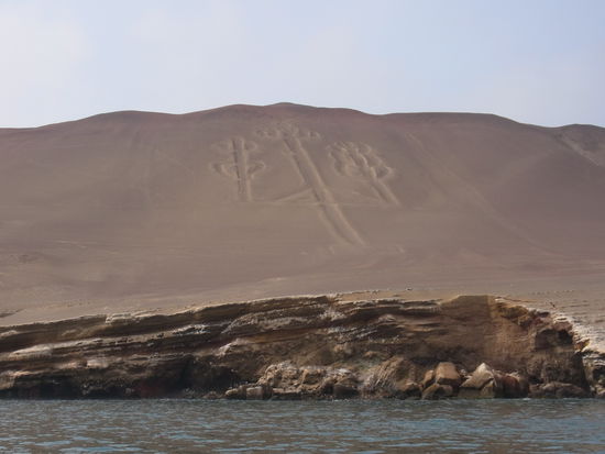 Der Kaktus - 300 Jahre vor Christus ca. 50 cm tief in den Stein geritzt,
verwitterungsgeschützt durch eine 2-3 cm dicke Schicht aus einem Sand-Salz-Gemisch