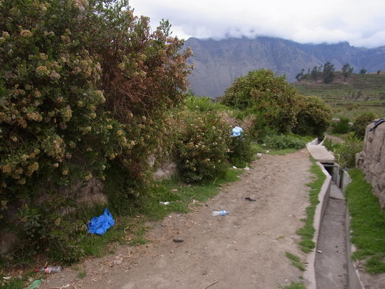 Tja, schöner bunter Müll...